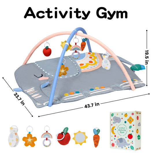 Baby Play Gym & Activity Mat